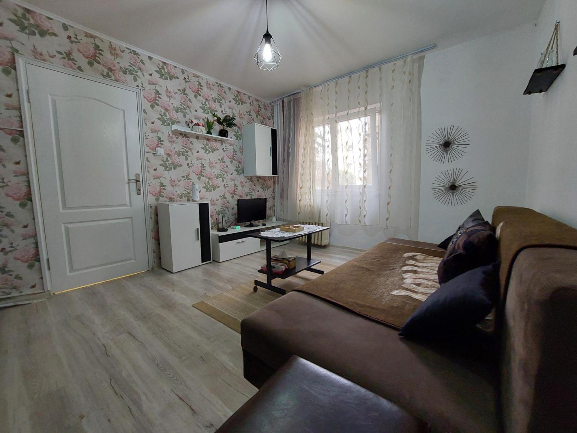 Garsoniera Centru Apartment Arad